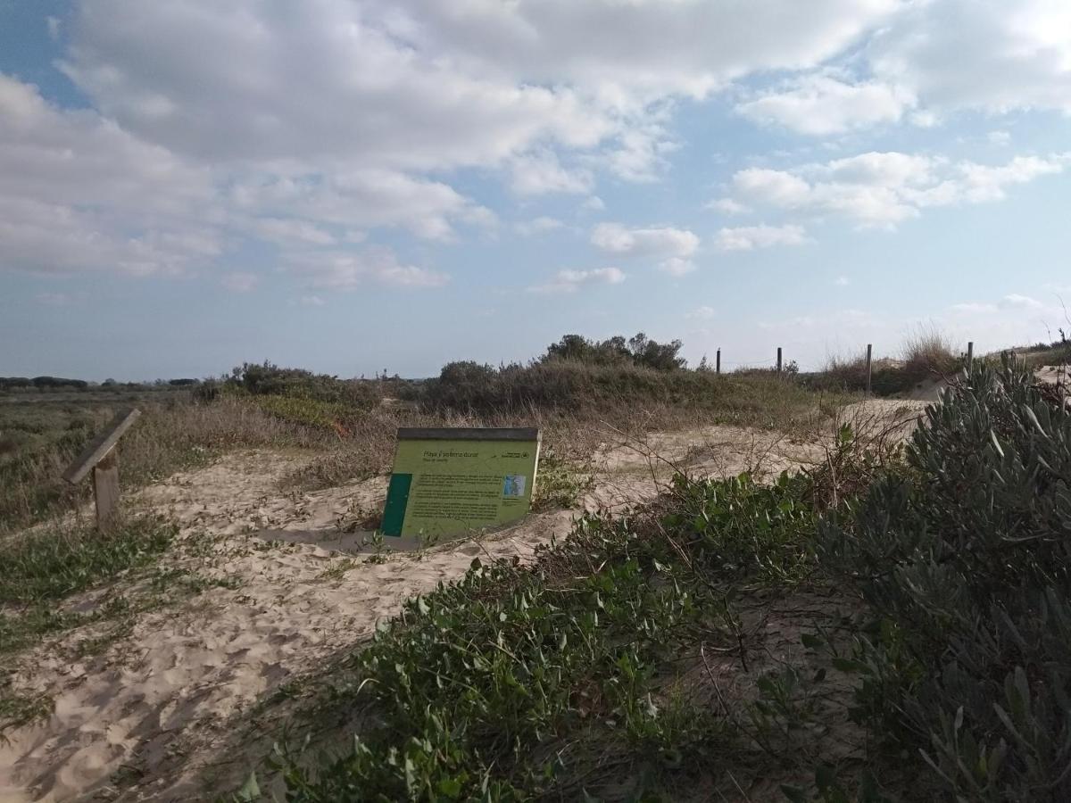 Tu Denscanso En Valdelagrana Frente Al Mar إل بويرتو دي سانتا ماريا المظهر الخارجي الصورة