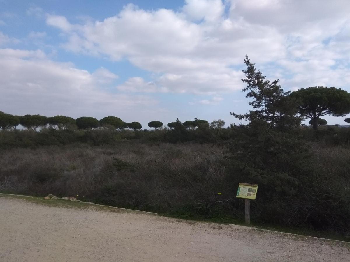 Tu Denscanso En Valdelagrana Frente Al Mar إل بويرتو دي سانتا ماريا المظهر الخارجي الصورة