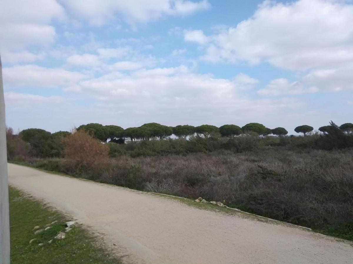 Tu Denscanso En Valdelagrana Frente Al Mar إل بويرتو دي سانتا ماريا المظهر الخارجي الصورة